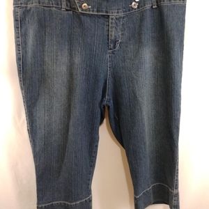 Lipsey Stretch Jean Capri